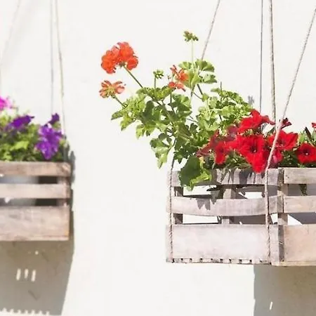 Апарт-отель Lena 3