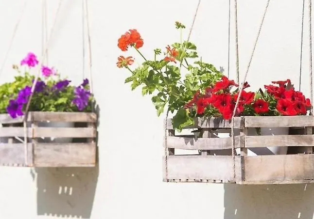 Hotel de apartamente Lena 3